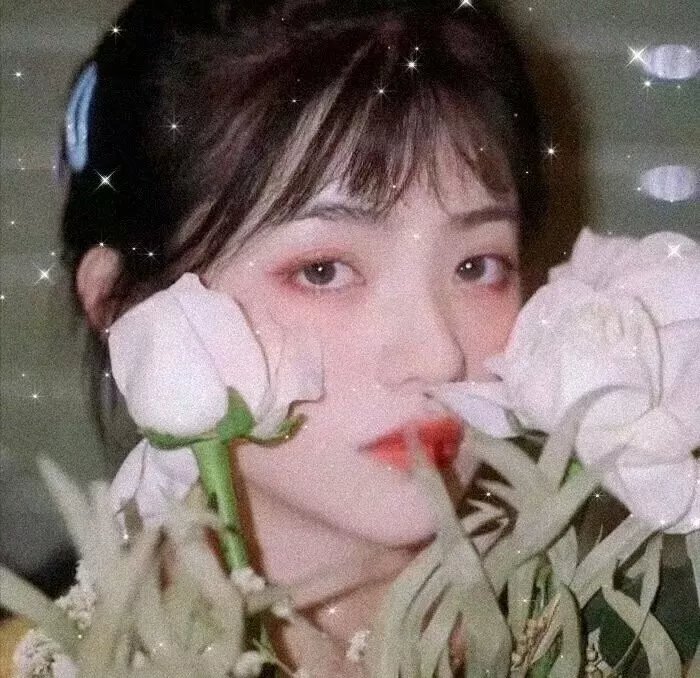 鹅妈妈去好莱坞